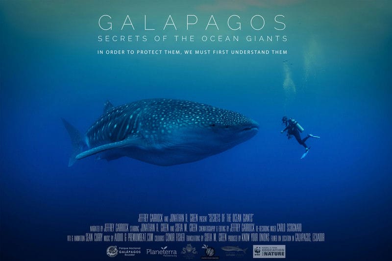 Galapagos_ Secrets of the Ocean Giants-POSTER-1