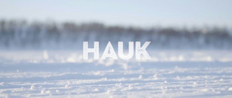 Hauk-POSTER-1