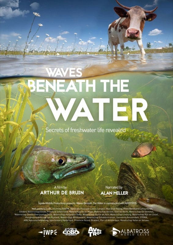Waves Beneath The Water, Secrets of freshwater life revealed-POSTER-1