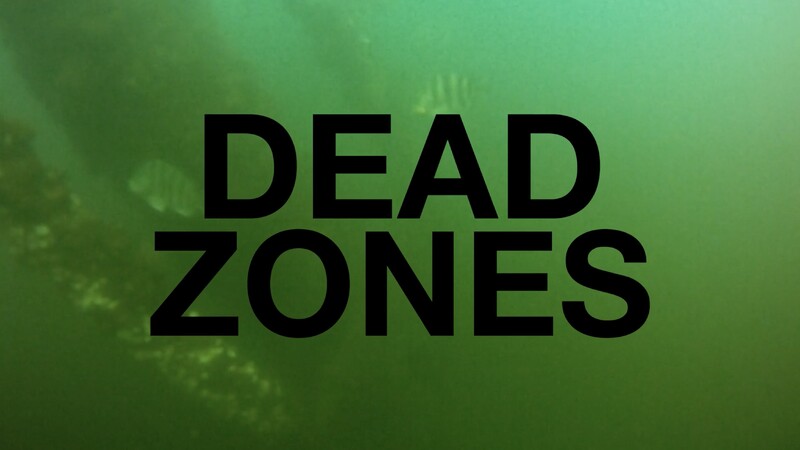 Poster Dead Zones
