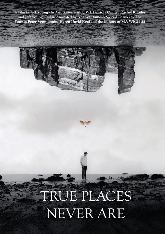 Poster True Places Never Are